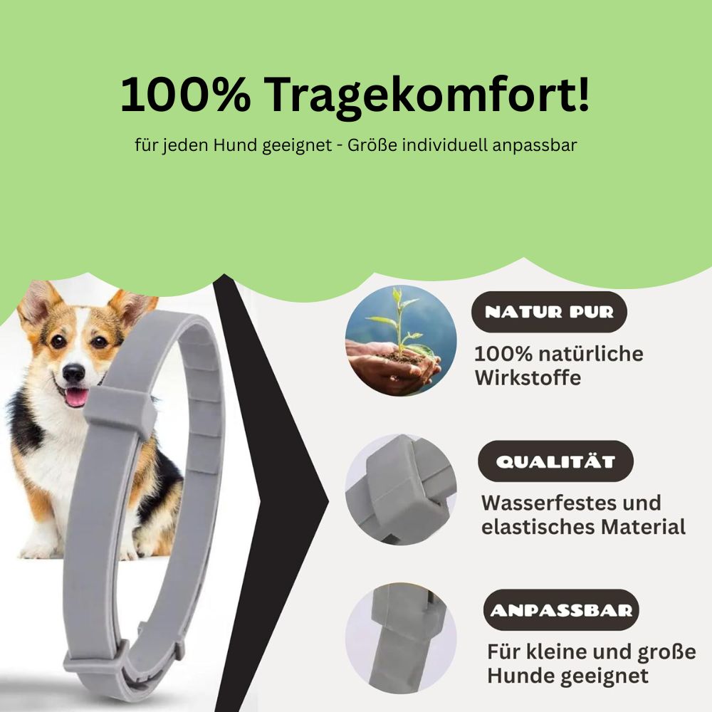 Antizecken Halsband - bis zu 8 Monate Schutz ohne Chemie + kostenloses E-Book