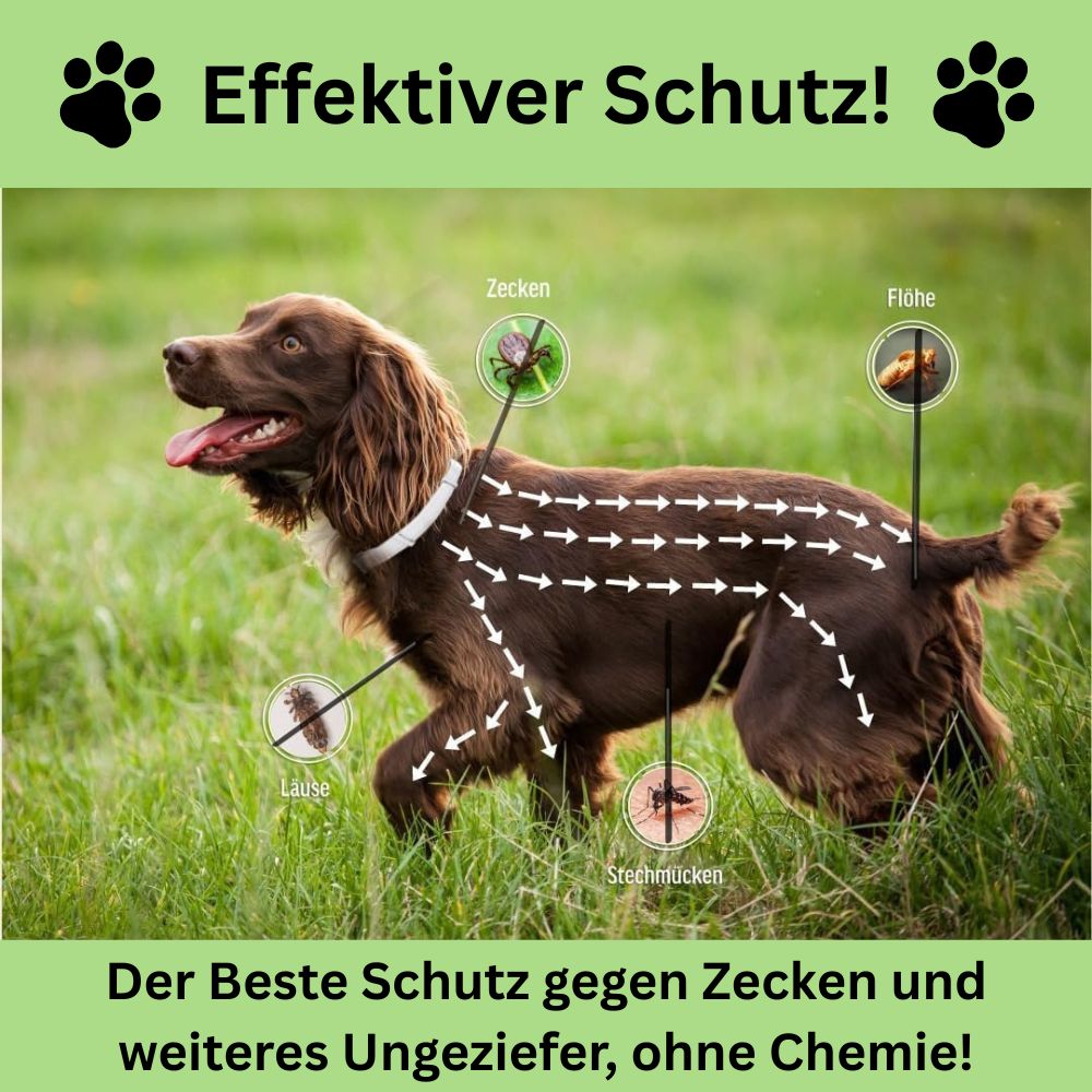 Antizecken Halsband - bis zu 8 Monate Schutz ohne Chemie + kostenloses E-Book