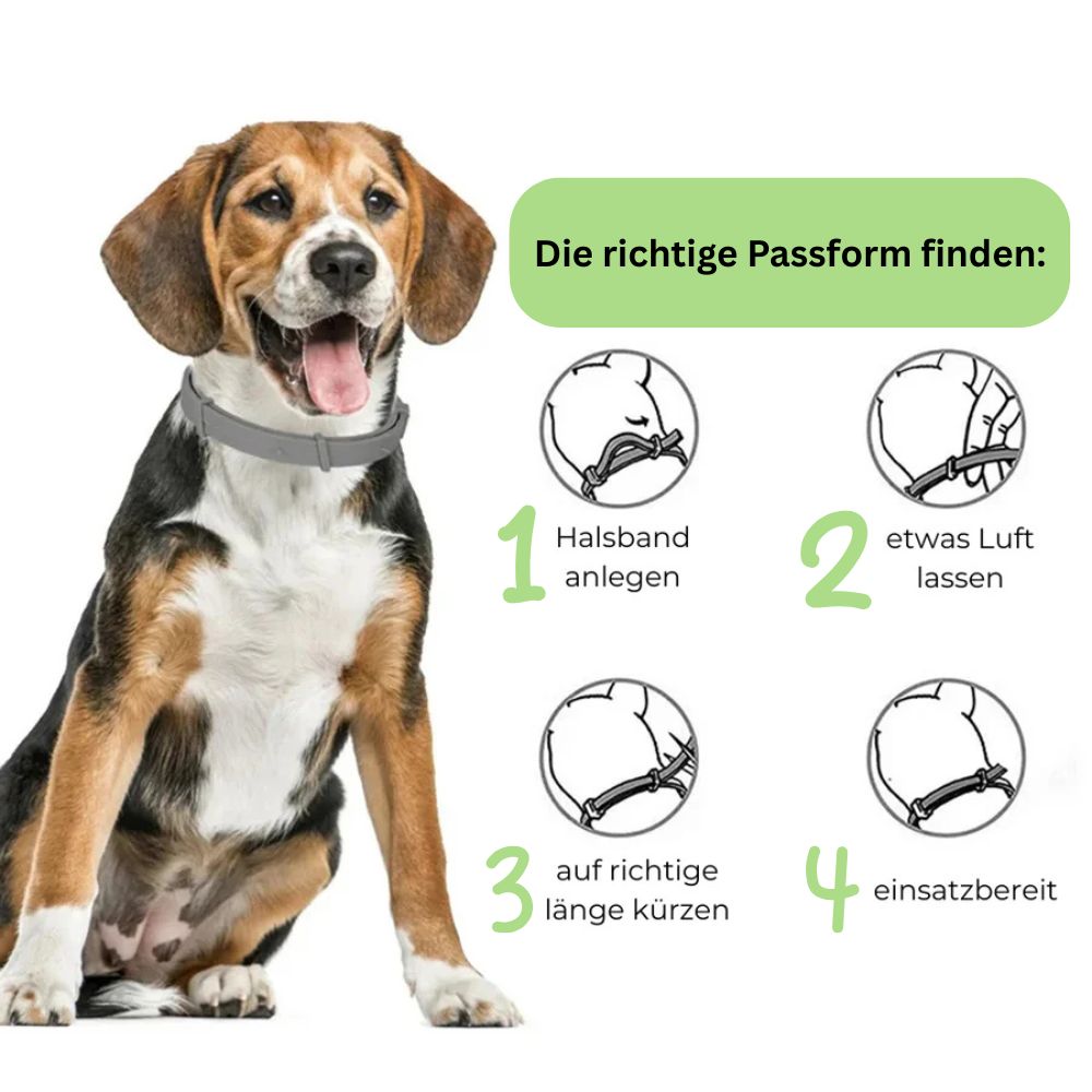 Antizecken Halsband - bis zu 8 Monate Schutz ohne Chemie + kostenloses E-Book