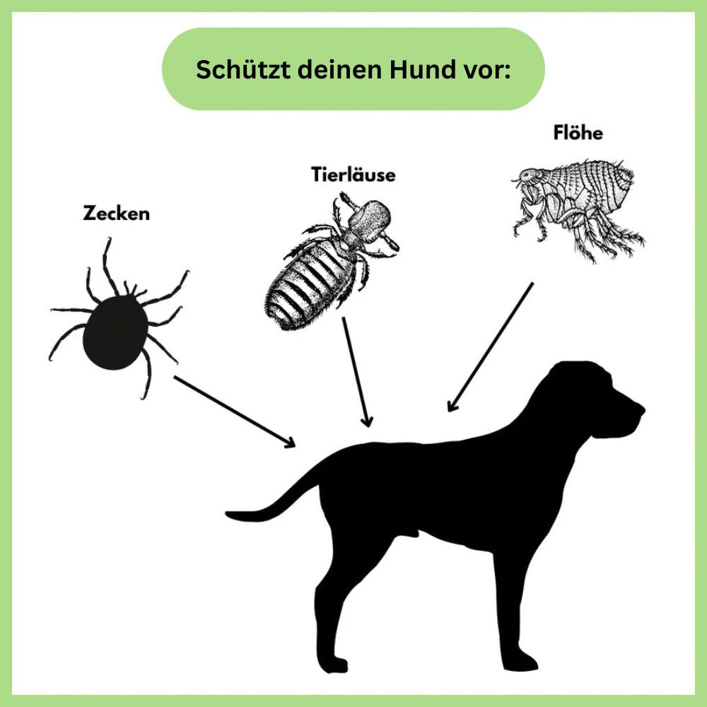 Antizecken Halsband - bis zu 8 Monate Schutz ohne Chemie + kostenloses E-Book