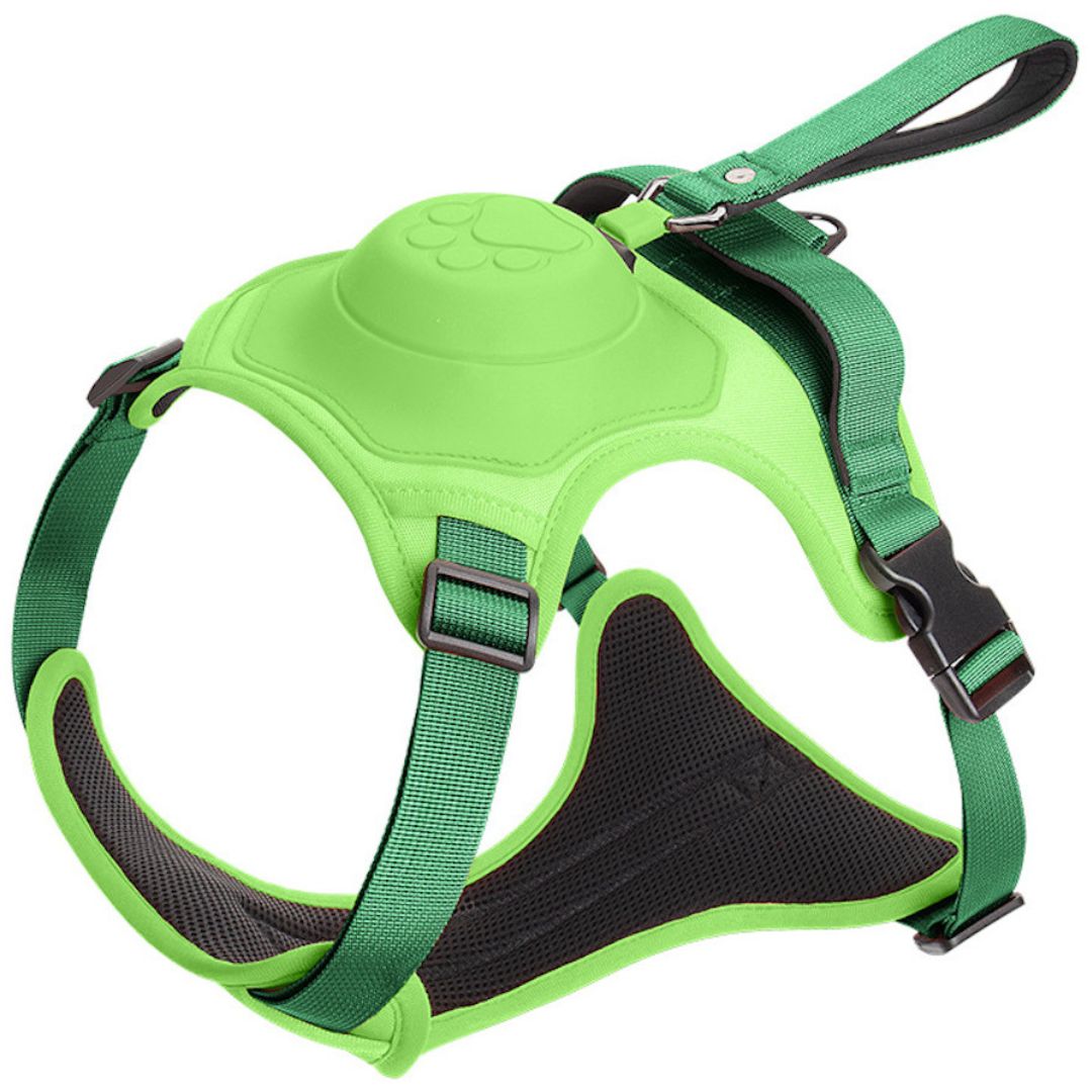 SmartLeash - die smarte Hundeleine
